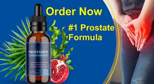 Prostadine: A Comprehensive Solution for Prostate Health and Energy Boost #01